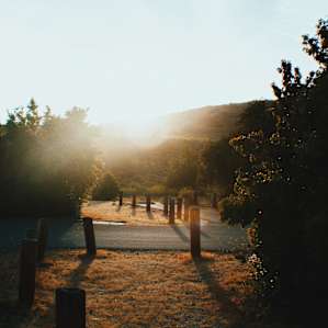 Sunrise over the horizon setting the mood for a peaceful day at San Mateo Campground.