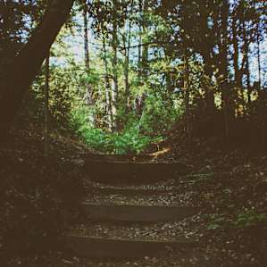 Great nature trail with its trail head right in the middle of the campground, always a plus.