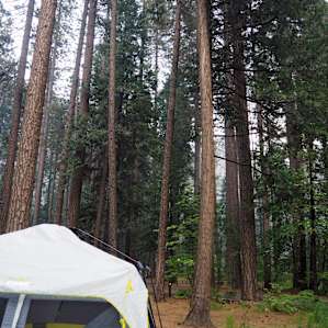 Lower Pines Campground