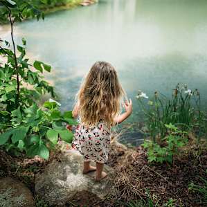 Looking for frogs!