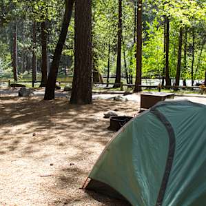 Site #515 - view of the Merced River straight ahead, and plenty of space on the left for at least two more tents.