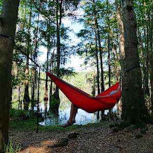Perfect hammock spot.