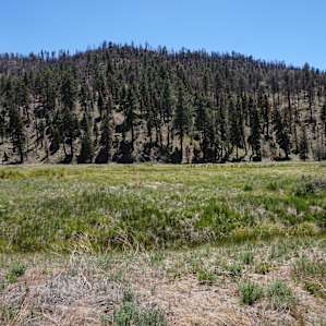 A short walk from the campground