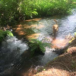 Huron trail