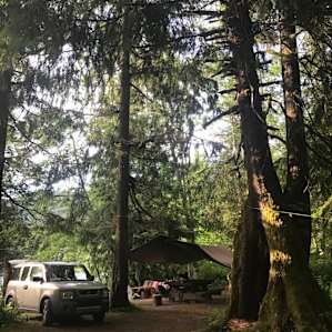 Our set up. Tarp set up is by the owner. Just behind our car out of frame is the hammock strung up above one of the paths to the water.