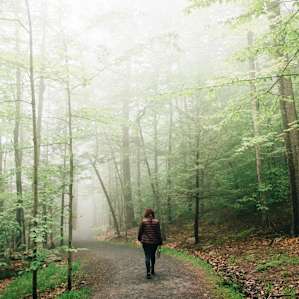 it's just a short walk to the Kaaterskills Falls viewing platform