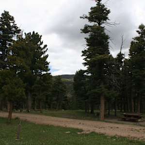 These two sites would be nice for a larger group-sites 32 and 34.