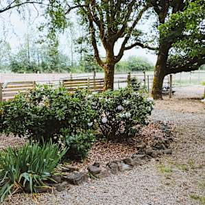 The adjoined yard that lies next to the RV and house.