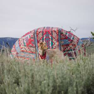 Surrounded by sweet sagebrush.