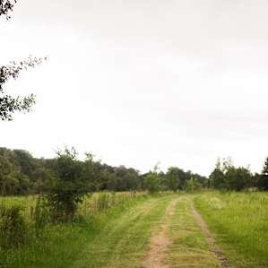 Quick shot of the path, when you think you've gone to far... keep going!