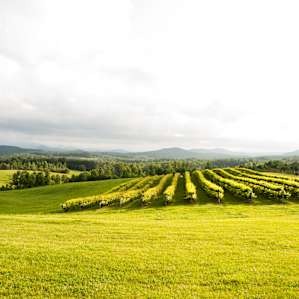 The light on the farm is always majestic.