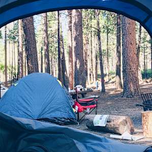 Campsite 41