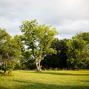 Splendid evening light graces the field near the campsites.