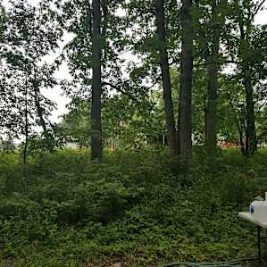 Tent - Organic Farm Near Ann Arbor