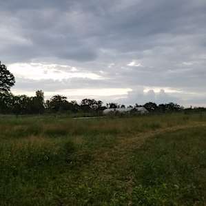 Tent - Organic Farm Near Ann Arbor