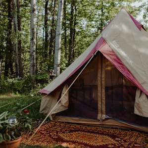 forest lodging canvas tent