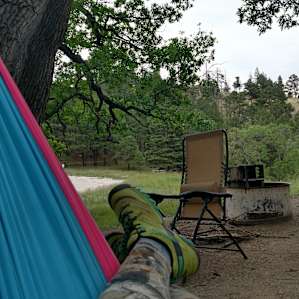 The view from my hammock.