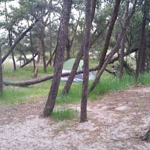 Site E is HUGE!