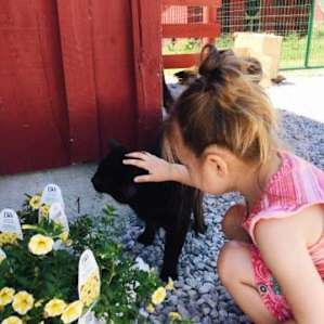 The little one loved this barn cat. She petted it every time we went on a walk around the farm.