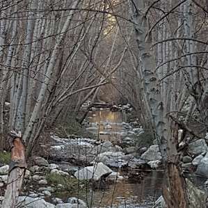 Glenn Camp Campground