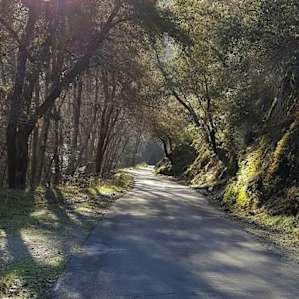 Glenn Camp Campground