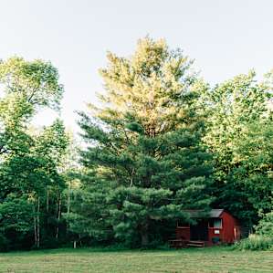 cabin forest lodging