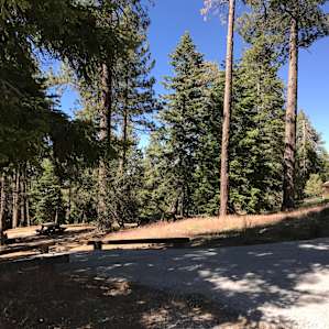 A typical site.