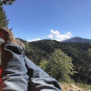 The view from my hammock.