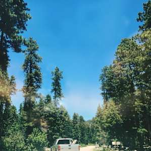 Vallecito Campground