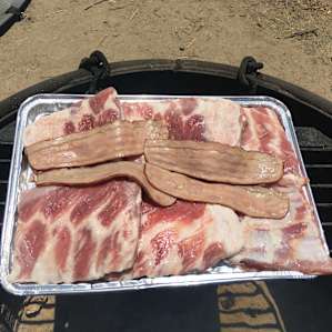 Our last meal was BBQ Pork Ribs...tossed on the last of the turkey bacon as well LOL.