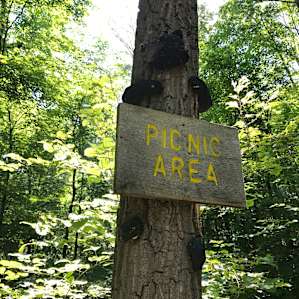 whimsical signs around the campground