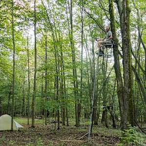 There's a tree stand - perfect for morning coffee!