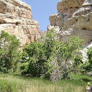 Hog Canyon - worth the trip.