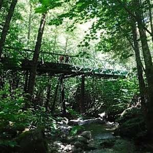 Great trails nearby.