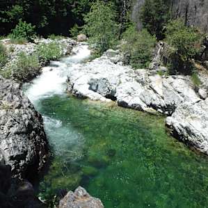 TONS of swimming.