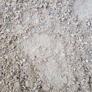 Bear foot print in our campsite made sometime in the night