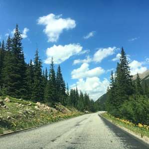 Guanella Pass rd.