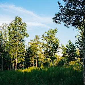 While you're on top of the bluff make sure to take in the glorious views!