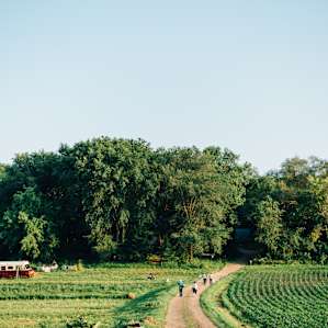 farm