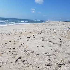 You have so much beach to yourself! It is so peaceful and truly a wonderful experience to not have to fight crowds at the beach.