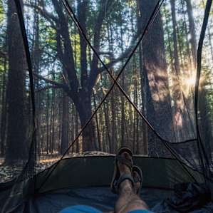View from the tent
