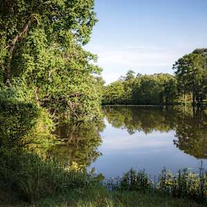 The bucolic pond.
