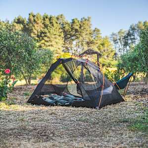 Tent set up among the Olive Trees at the Olive Grove campsite.