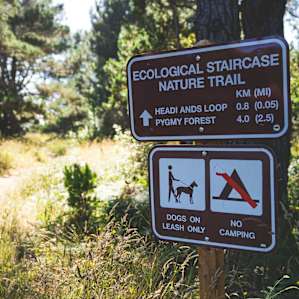 A wonderful hiking opportunity can be found right down the street (walking distance) from Fortunate Farms at Jug Handle State Reserve