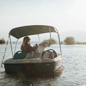 Our dog even got to partake in the lake activities