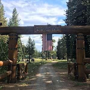 Timber gates, can't miss.