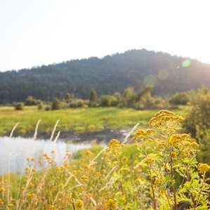 Some of the epic views down the road from Clark Fork.