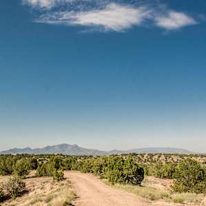The driveway to the Oasis in the Desert casita.