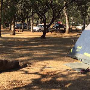 Upper Bayview Campground