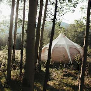 forest yurt lodging